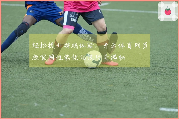轻松提升游戏体验，开云体育网页版官网性能优化技巧全揭秘