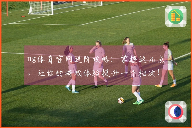 ng体育官网进阶攻略：掌握这几点，让你的游戏体验提升一个档次！