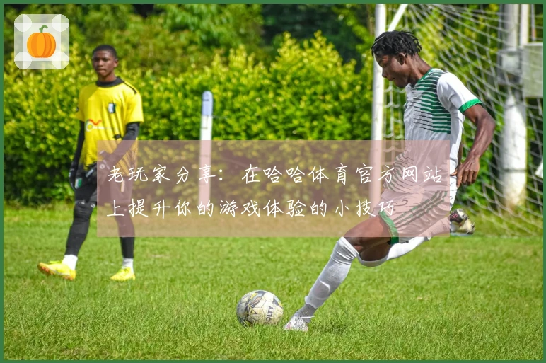 老玩家分享：在哈哈体育官方网站上提升你的游戏体验的小技巧