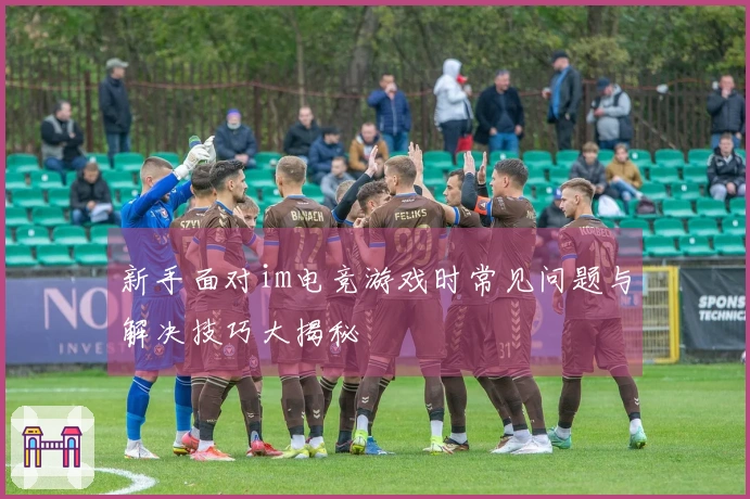 新手面对im电竞游戏时常见问题与解决技巧大揭秘